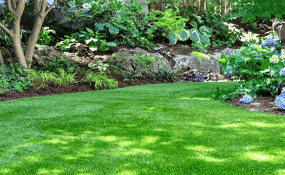 project_overview_img